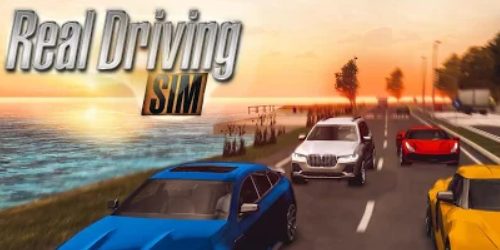 Real Driving Sim на Андроид. Коды на деньги, Бесплатно